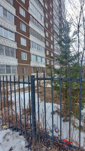 Продается 2/3 доли в 2-х комнатной квартире на Восстания 97 в Октябрьском - oktyabrskoe.yutvil.ru