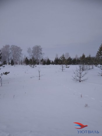 Земельный участок поселок Баженово в Октябрьском - oktyabrskoe.yutvil.ru - фото 2
