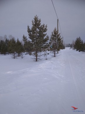 Баженово ул Южная д 7 в Октябрьском - oktyabrskoe.yutvil.ru - фото 1