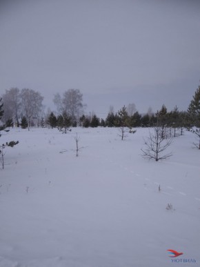 Баженово ул Южная д 7 в Октябрьском - oktyabrskoe.yutvil.ru - фото 2
