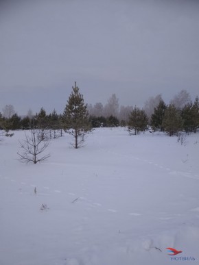 Баженово ул Южная д 7 в Октябрьском - oktyabrskoe.yutvil.ru - фото 5