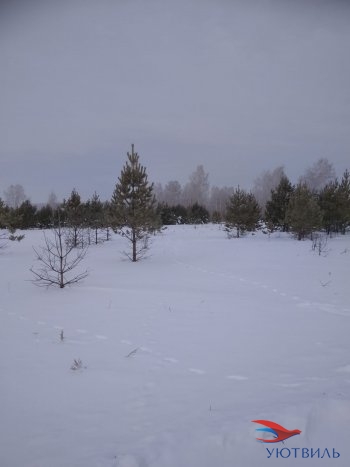 Земельный участок поселок Баженово в Октябрьском - oktyabrskoe.yutvil.ru - фото 5