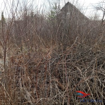 садовый участок в Дуброво-1 в Октябрьском - oktyabrskoe.yutvil.ru - фото 3