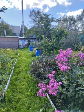 Коллективный сад номер 7, участок 58 в Октябрьском - oktyabrskoe.yutvil.ru - фото 23