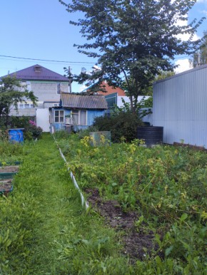 Коллективный сад номер 7, участок 58 в Октябрьском - oktyabrskoe.yutvil.ru - фото 25