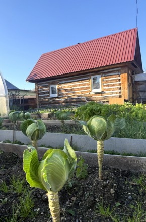 СНТ Дорожник в Октябрьском - oktyabrskoe.yutvil.ru - фото 19