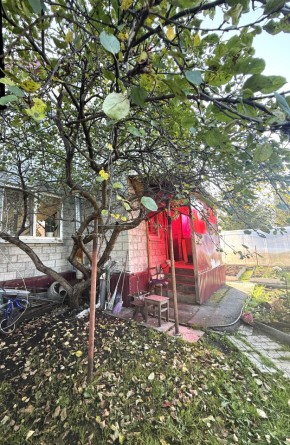 СНТ Дорожник в Октябрьском - oktyabrskoe.yutvil.ru - фото 3 СНТ Дорожник в Октябрьском - oktyabrskoe.yutvil.ru - фото 3