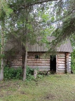 СНТ Калининец-10, уч. 1-11-3 в Октябрьском - oktyabrskoe.yutvil.ru - фото 1