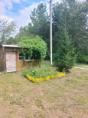 СНТ Родники в Октябрьском - oktyabrskoe.yutvil.ru - фото 1