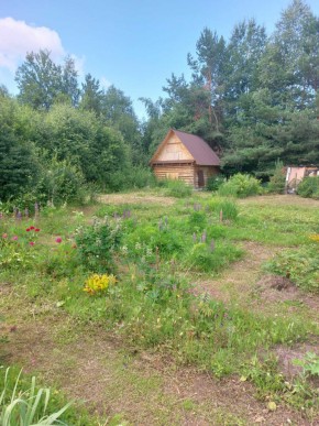 СНТ Родники в Октябрьском - oktyabrskoe.yutvil.ru - фото 2