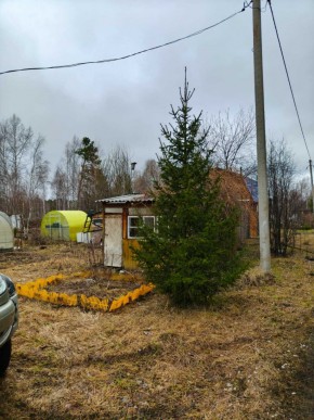 СНТ Родники в Октябрьском - oktyabrskoe.yutvil.ru - фото 5 СНТ Родники в Октябрьском - oktyabrskoe.yutvil.ru - фото 5