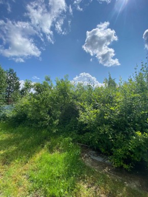 СПК Юбилейный, уч. 9 в Октябрьском - oktyabrskoe.yutvil.ru - фото 14