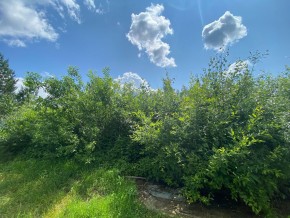 СПК Юбилейный, уч. 9 в Октябрьском - oktyabrskoe.yutvil.ru - фото 15