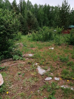 СТН Семья №112, Верхняя пышма на землях бывшего подсобного хозяйтва верхнепышминского опытного завода в Октябрьском - oktyabrskoe.yutvil.ru - фото 17 СТН Семья №112, Верхняя пышма на землях бывшего подсобного хозяйтва верхнепышминского опытного завода в Октябрьском - oktyabrskoe.yutvil.ru - фото 17