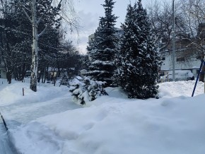 ул. 8 Марта,7 в Октябрьском - oktyabrskoe.yutvil.ru - фото 25