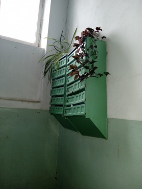 ул. Бажова,11 в Октябрьском - oktyabrskoe.yutvil.ru - фото 2 ул. Бажова,11 в Октябрьском - oktyabrskoe.yutvil.ru - фото 2
