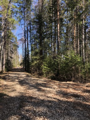 ул. Калиновая,9 в Октябрьском - oktyabrskoe.yutvil.ru - фото 1 ул. Калиновая,9 в Октябрьском - oktyabrskoe.yutvil.ru - фото 1