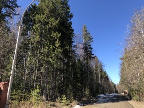 ул. Калиновая,9 в Октябрьском - oktyabrskoe.yutvil.ru - фото 3 ул. Калиновая,9 в Октябрьском - oktyabrskoe.yutvil.ru - фото 3