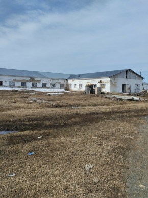 ул. Ленина,15а в Октябрьском - oktyabrskoe.yutvil.ru - фото 12 ул. Ленина,15а в Октябрьском - oktyabrskoe.yutvil.ru - фото 12