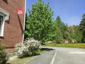 ул. Сосновая, 8 в Октябрьском - oktyabrskoe.yutvil.ru - фото 25 ул. Сосновая, 8 в Октябрьском - oktyabrskoe.yutvil.ru - фото 25