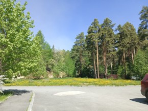 ул. Сосновая, 8 в Октябрьском - oktyabrskoe.yutvil.ru - фото 26 ул. Сосновая, 8 в Октябрьском - oktyabrskoe.yutvil.ru - фото 26
