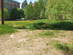 ул. Сосновая, 8 в Октябрьском - oktyabrskoe.yutvil.ru - фото 33 ул. Сосновая, 8 в Октябрьском - oktyabrskoe.yutvil.ru - фото 33