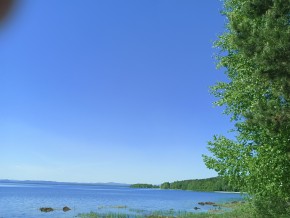 ул. Сосновая, 8 в Октябрьском - oktyabrskoe.yutvil.ru - фото 34 ул. Сосновая, 8 в Октябрьском - oktyabrskoe.yutvil.ru - фото 34